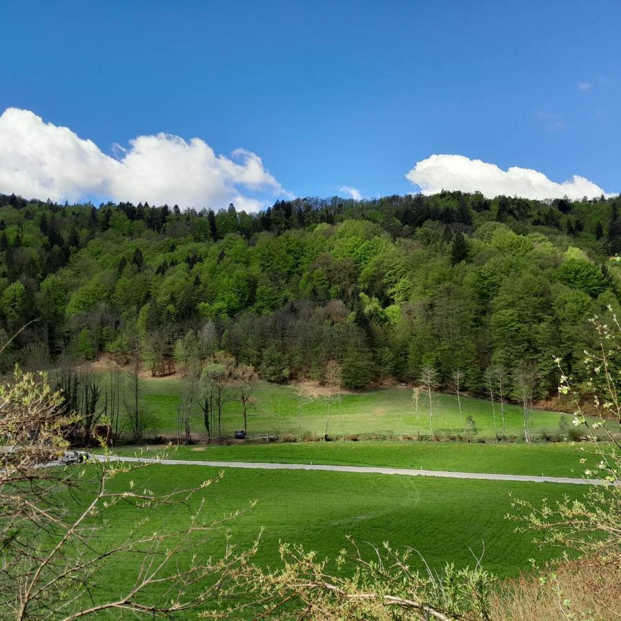 Nice Apartment Near By Capital Of Slovenia 류블랴나 외부 사진